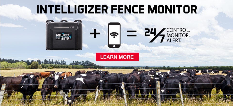 Intelligizer Fence Monitor