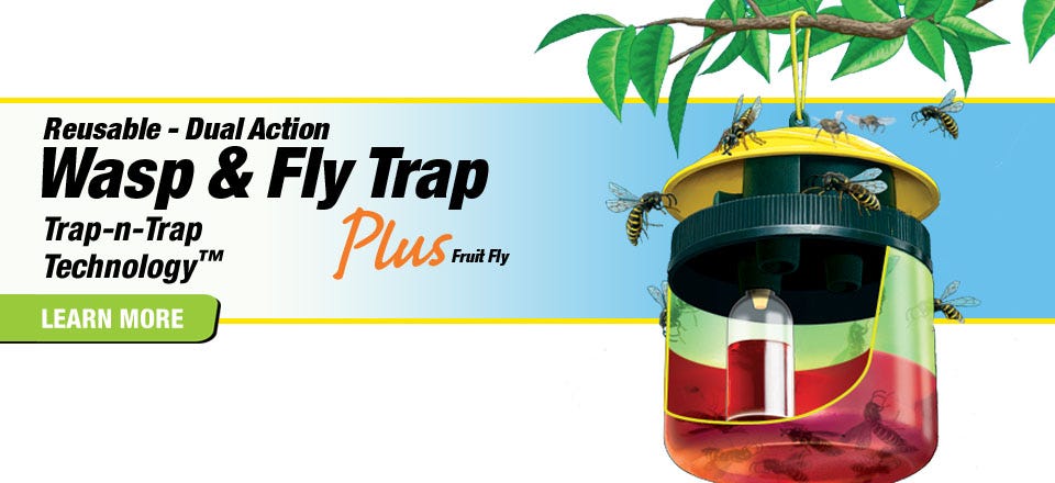 Reusable, Dual-Action Wasp and Fly Traps